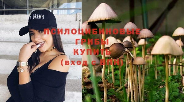 дмт Абинск