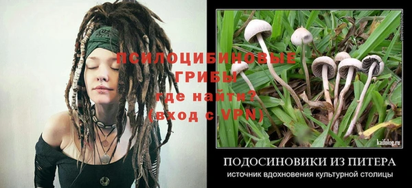 дмт Абинск