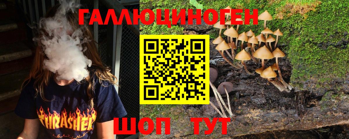 Псилоцибиновые грибы Psilocybe Россошь