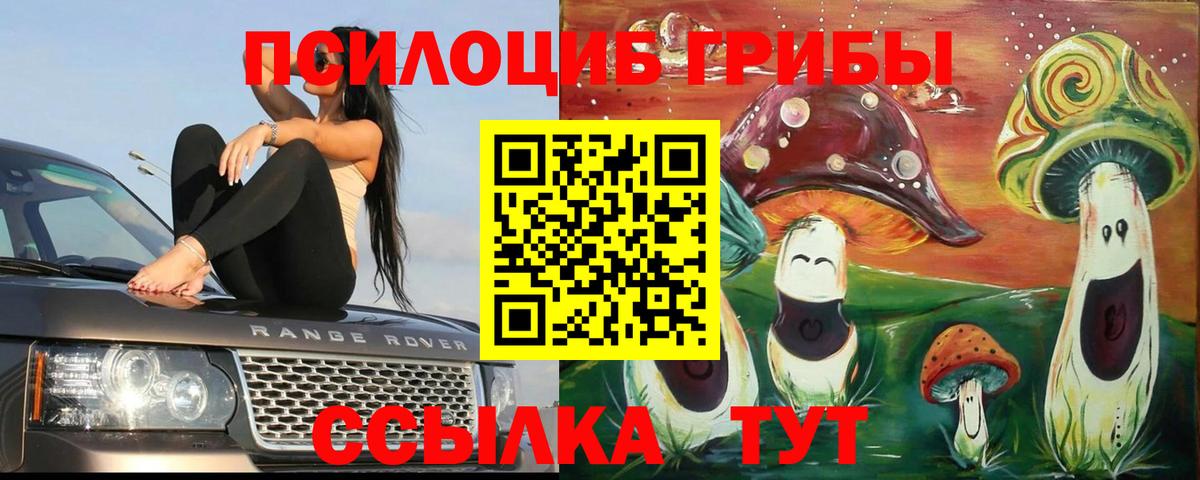 Галлюциногенные грибы прущие грибы  Вход с VPN  Псилоцибиновые грибы Psilocybe  Россошь 