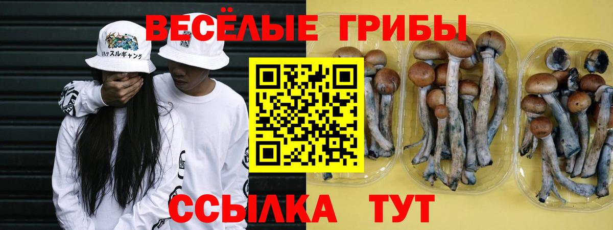 Псилоцибиновые грибы прущие грибы Россошь